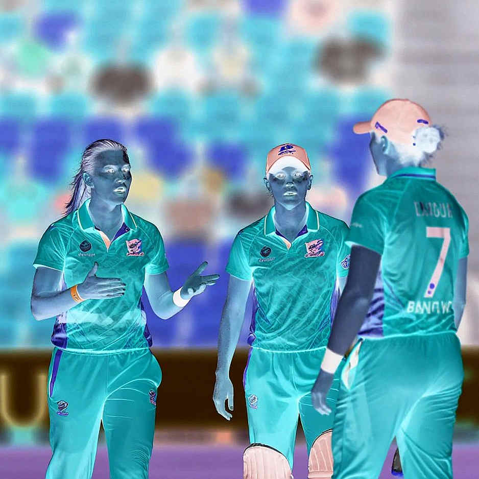 আটটি অধ্যায়, শূন্য তথ্য: ক্রিকেট বিশ্লেষণের খালি টিমশিট
